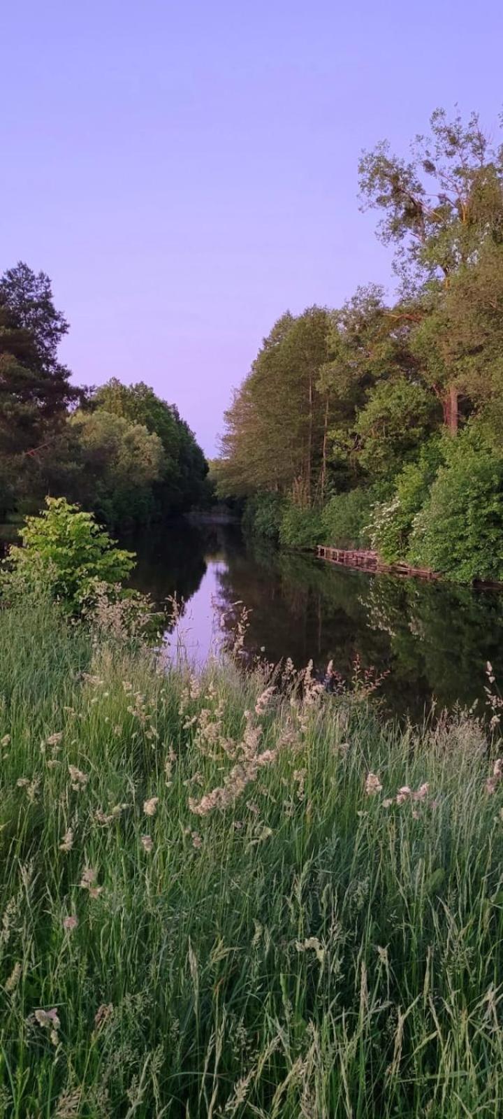 Domki Na Chabrowej Augustów Esterno foto