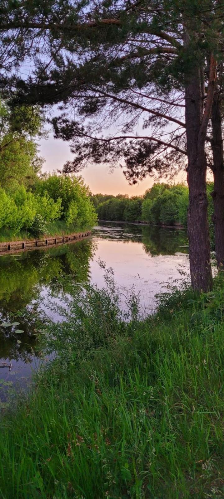 Domki Na Chabrowej Augustów Esterno foto